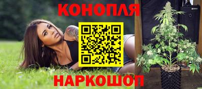 крисы Дубна