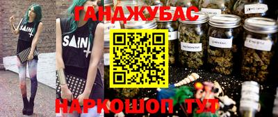 крисы Дубна