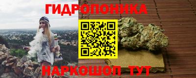 крисы Дубна