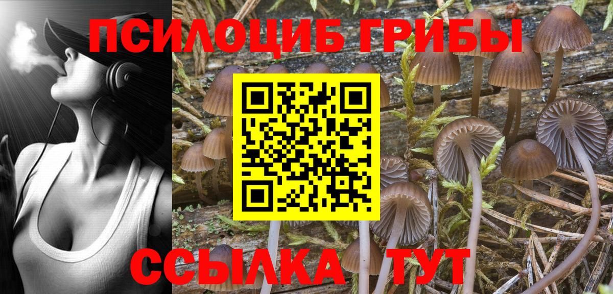 Галлюциногенные грибы Psilocybe  Галлюциногенные грибы Magic Shrooms  Вход с VPN  Балашов 